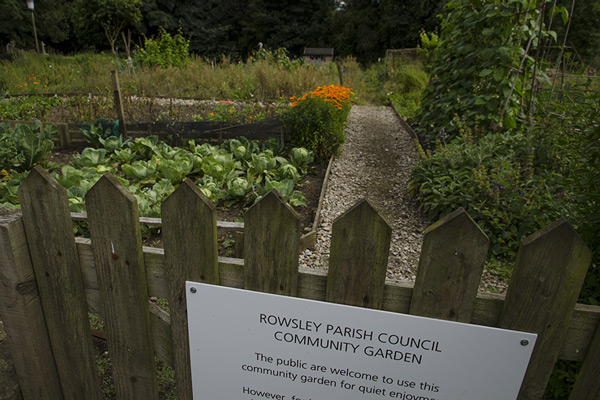 Image of Rowsley allotments